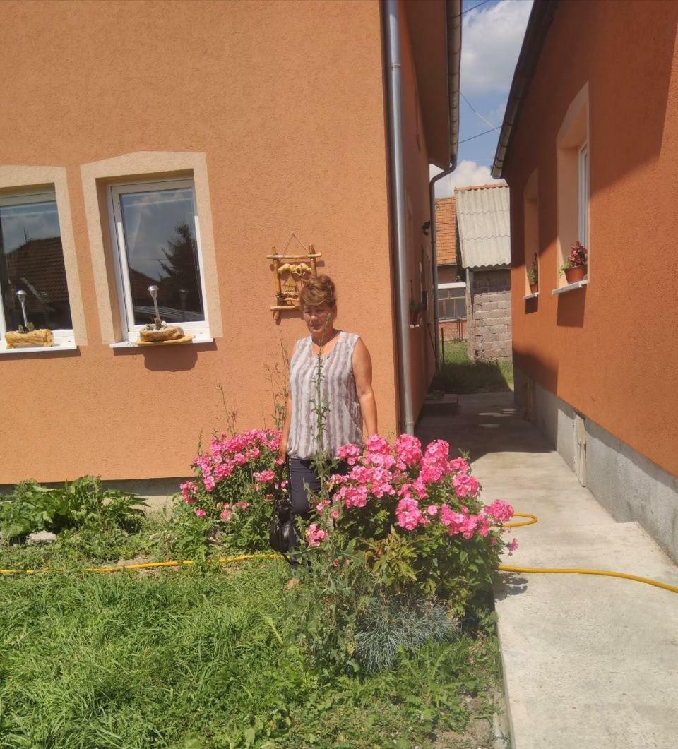 Apartmani ,,Bato,, シェニツァ エクステリア 写真